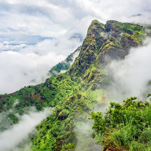 All About East Africa