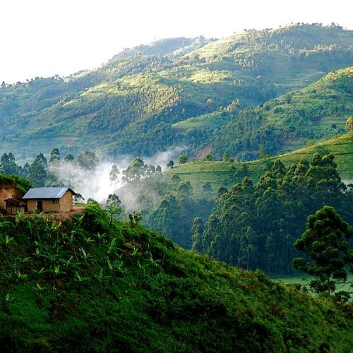 All About East Africa